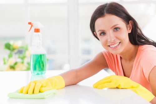 Regular cleaning service for a Wimbledon home interior