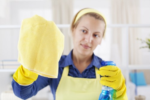 Kitchen and bathroom domestic cleaning in Wimbledon property