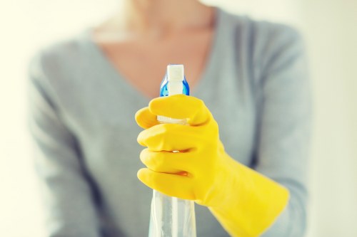 Cleaning equipment used for pet odour removal in a Wimbledon flat
