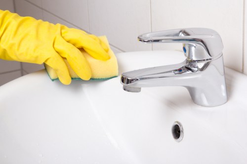 Regular domestic cleaning in a Wimbledon family home