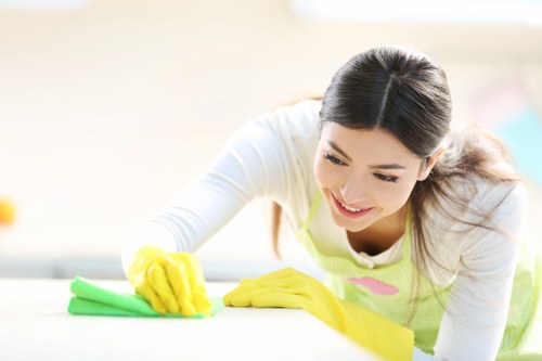 Pricing examples for carpet cleaning in a Wimbledon property
