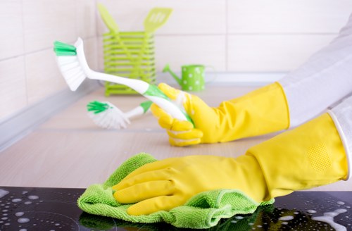 Cleaning stained carpet areas in a Wimbledon property