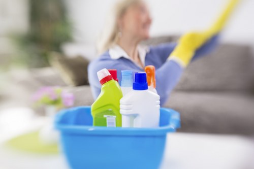 Upholstery cleaning equipment used in a Wimbledon property