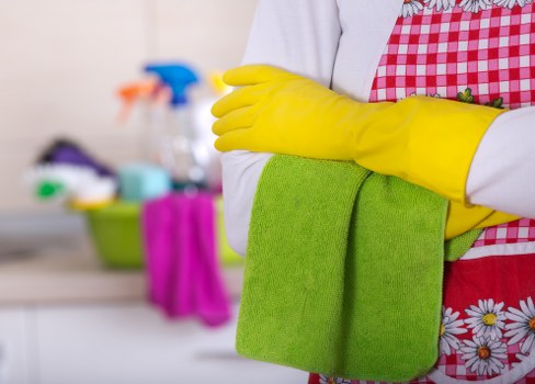 Upholstery and carpet deodorising service for pet accidents